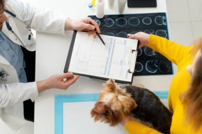 Consulta Veterinária Geral de Rotina + Checklist de Saúde